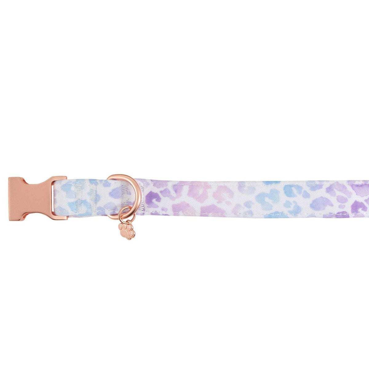 Purple Neoprene Dog Collar F82201