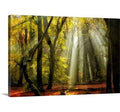 Canvas Photographic Print, 16x22 H x 24x22 W x 1.5x22 D H315786
