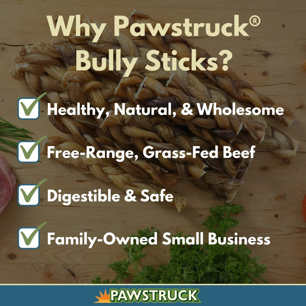 Natural 4" Bully Stick Rings for Dogs, 3 Count V425350