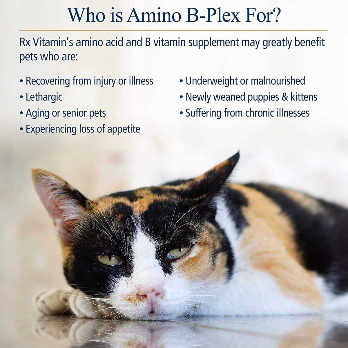 Amino B Plex for Pets O897625