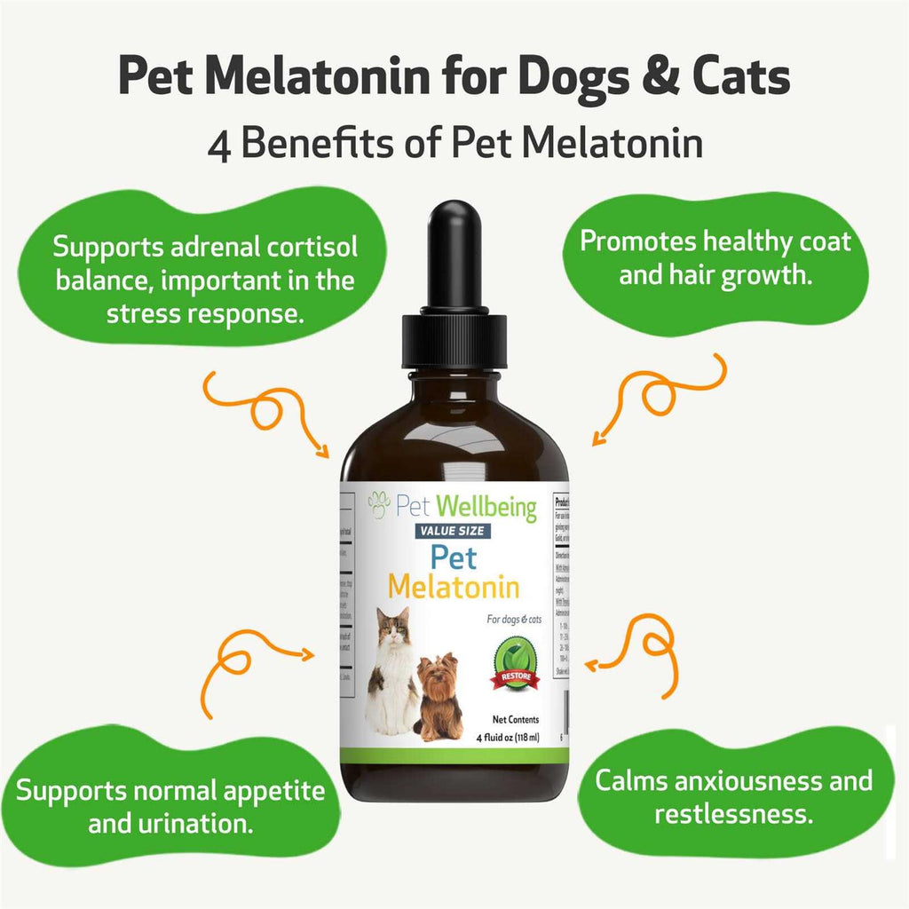 Melatonin for Dogs R4834