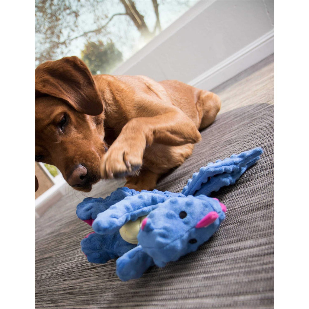 Chew Guard Dog Toy L429