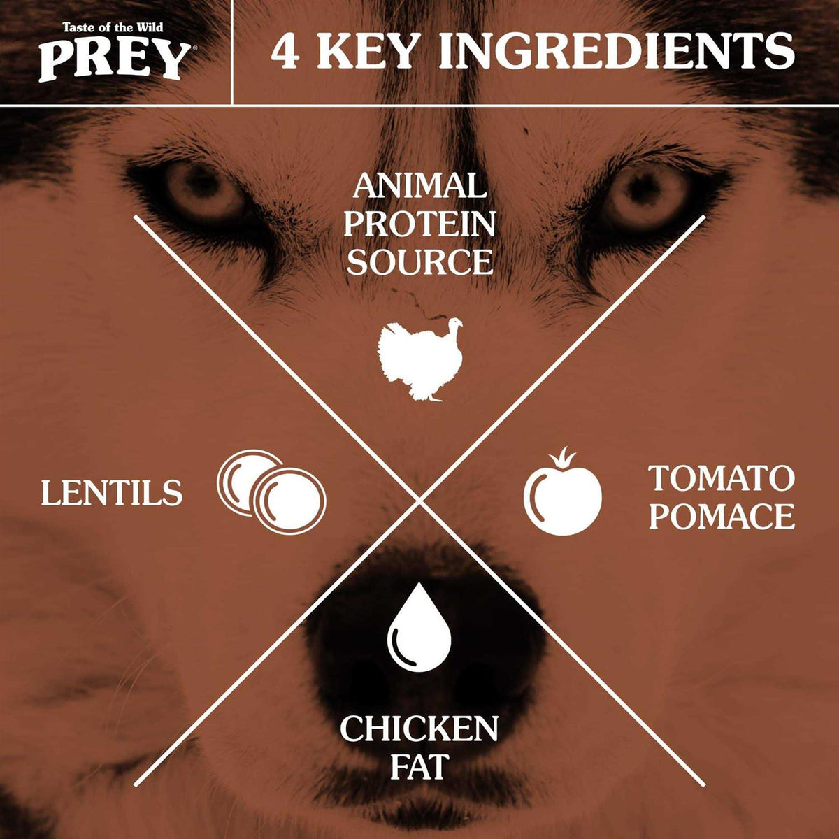 Turkey Dog Food W2231