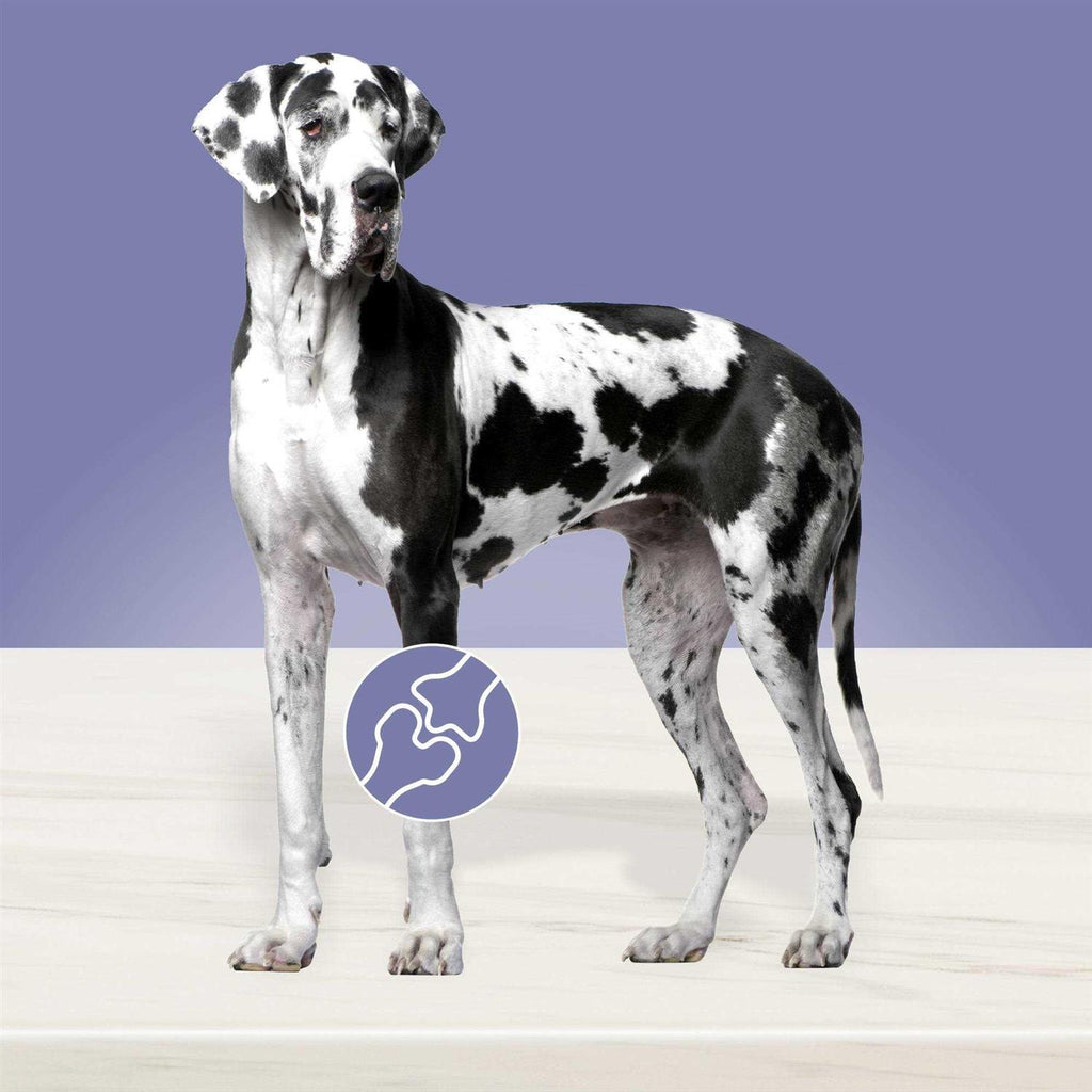 Dog Food T992
