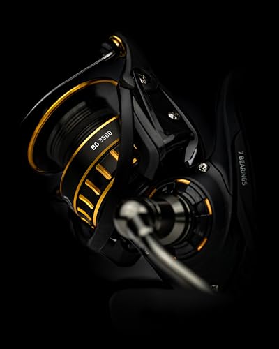 BG Reel Kit with Braided Line and SP Minnow L5685