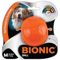 Small Dog Chew Toy U48107