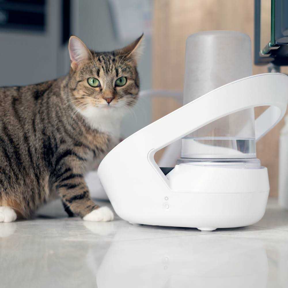 Felaqua Connect Pet Supplies K6598