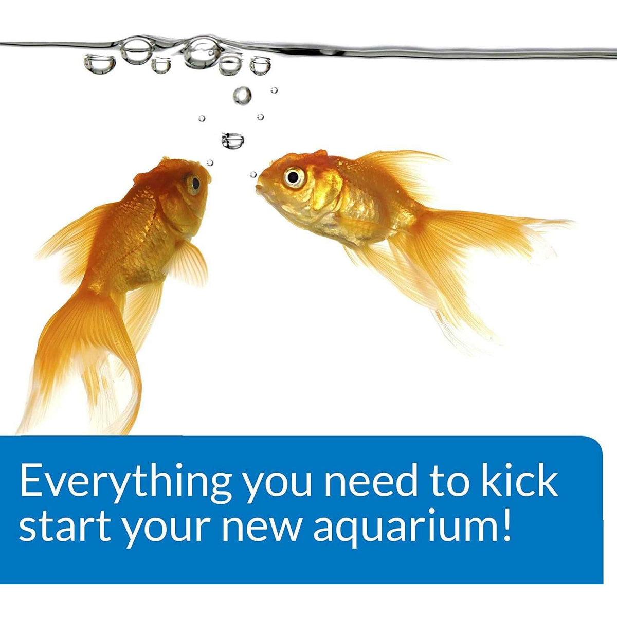 Aquarium Start Up Pack U970812