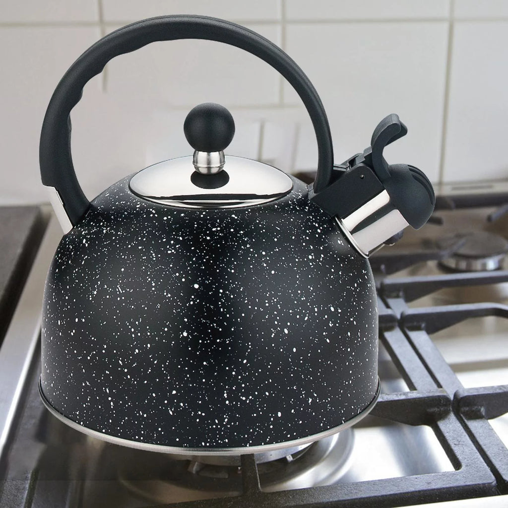 2L Stainless Steel Whistling Kettle T624260