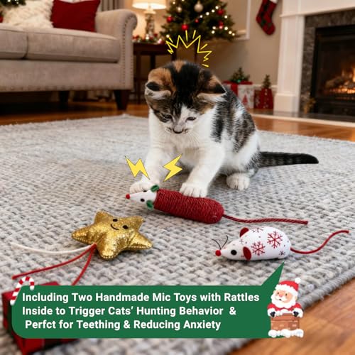 Christmas Cat Toys Set, 10Pcs Catnip Toys with Gift Box F742