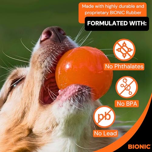 Small Dog Chew Toy U48107