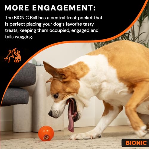 Small Dog Chew Toy U48107