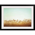 Photographic Print Black Frame 28x22 H x 38x22 W x 1x22 D S906