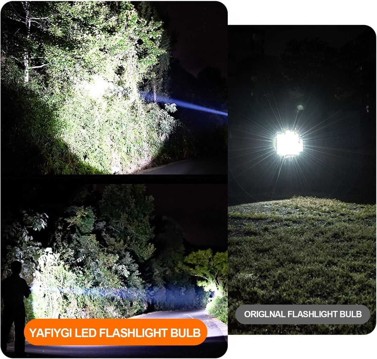 4 Pack LED Flashlight Bulb P13.5S PR2 3W 3V 4.5V 6V White Replacement Set B9187
