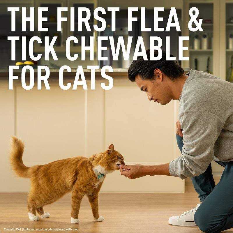 Credelio for Cats I555150