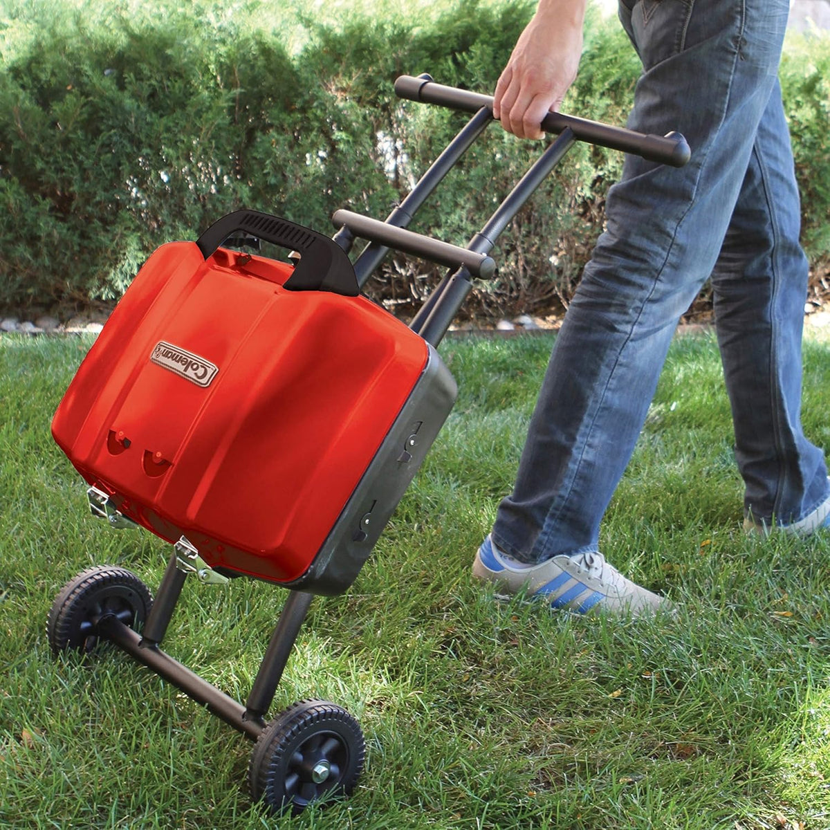 Portable Propane Gas Grill N783