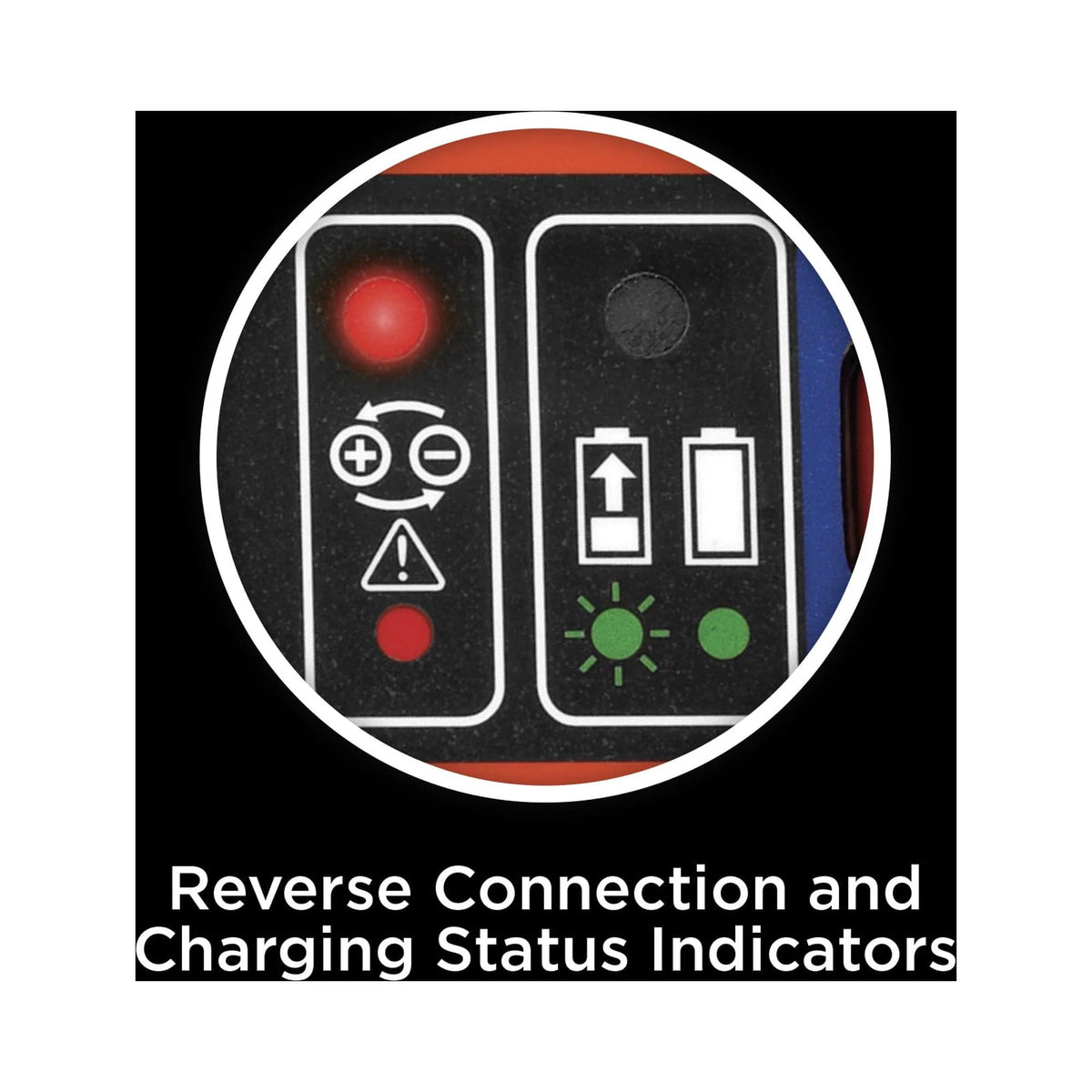 6V and 12V Battery Charger/Maintainer N503