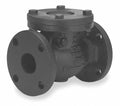 Cast Iron 5 in Flanged Swing Check Valve C373210
