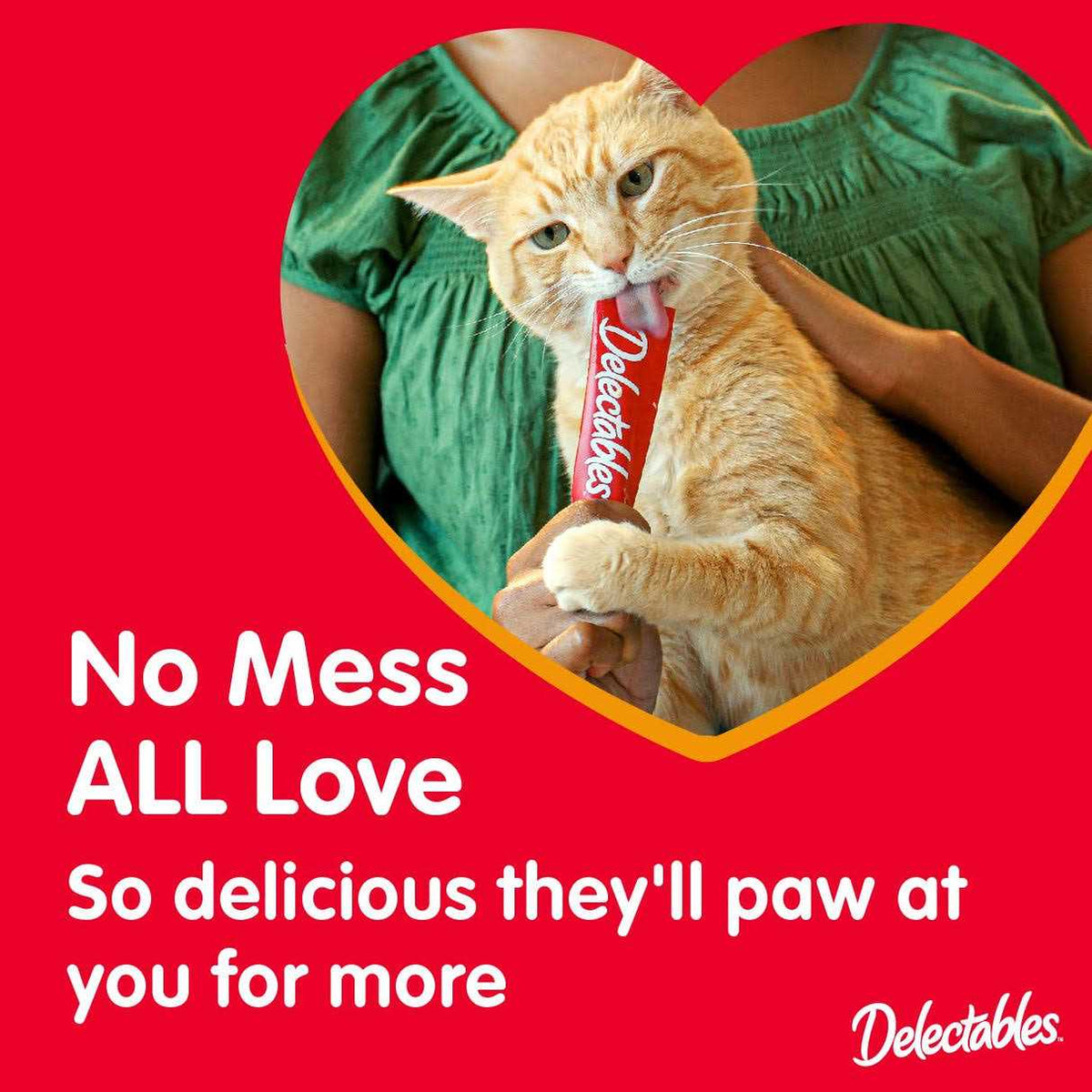 Interactive Lickable Wet Cat Treats Variety Pack Z614436