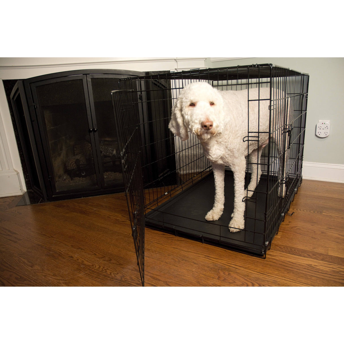 Foldable Double Door Pet Crate with Divider B6897