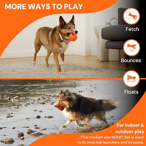 Small Dog Chew Toy U48107