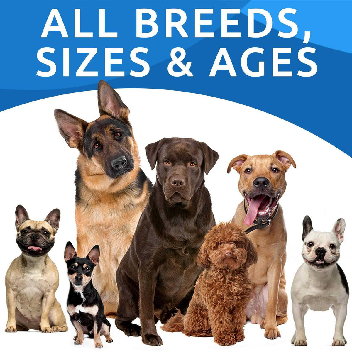 Allergy Relief Immune Chews K5710