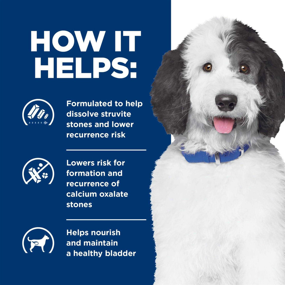 Prescription Diet c/d Dog Food A711