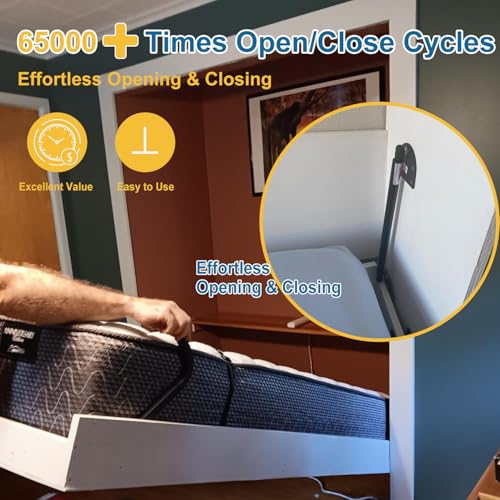 Queen Size Vertical Murphy Bed Kit Y401317