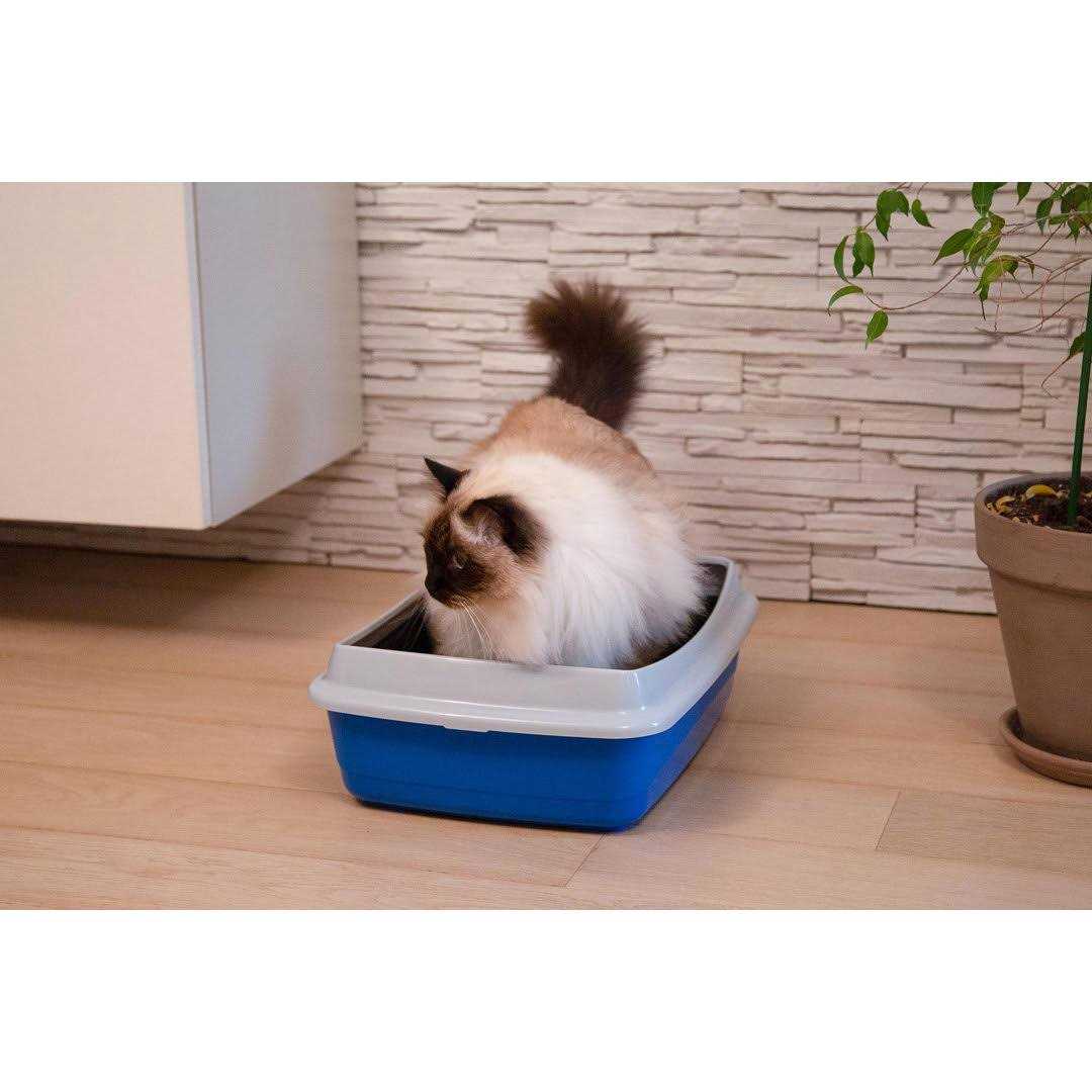 Litter Box with Litter Guard V182