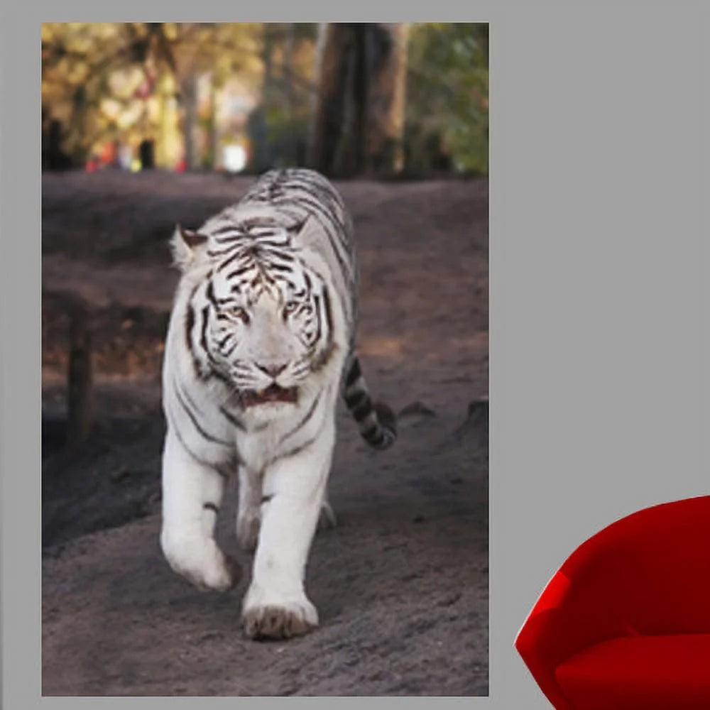 White Tiger Wall Mural T5152