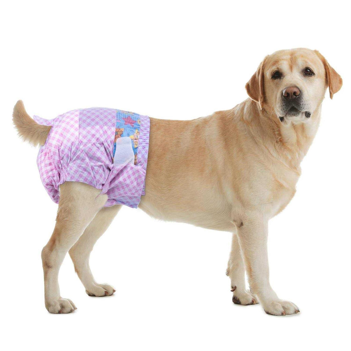 Disposable Female Dog Diapers with Adjustable Elastic Waistline L215902