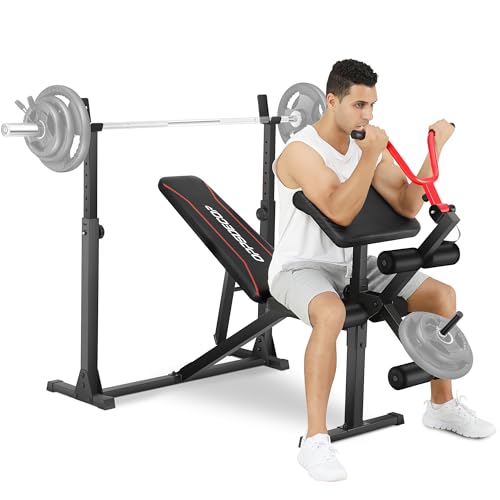 Weight Bench Set with Squat Rack and Leg Extension E1593