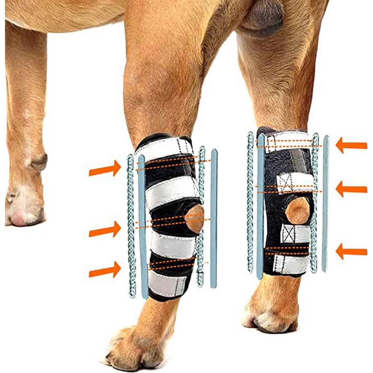 3-in-1 Dog Splint Braces V2552