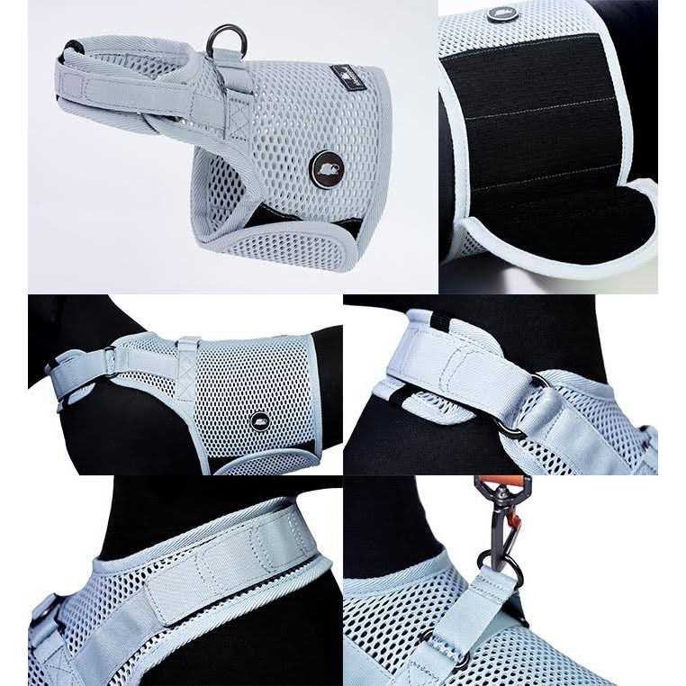 Martingale Walking Dog Harness F277840