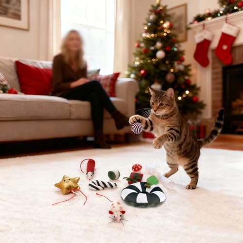 Christmas Cat Toys Set, 10Pcs Catnip Toys with Gift Box F742