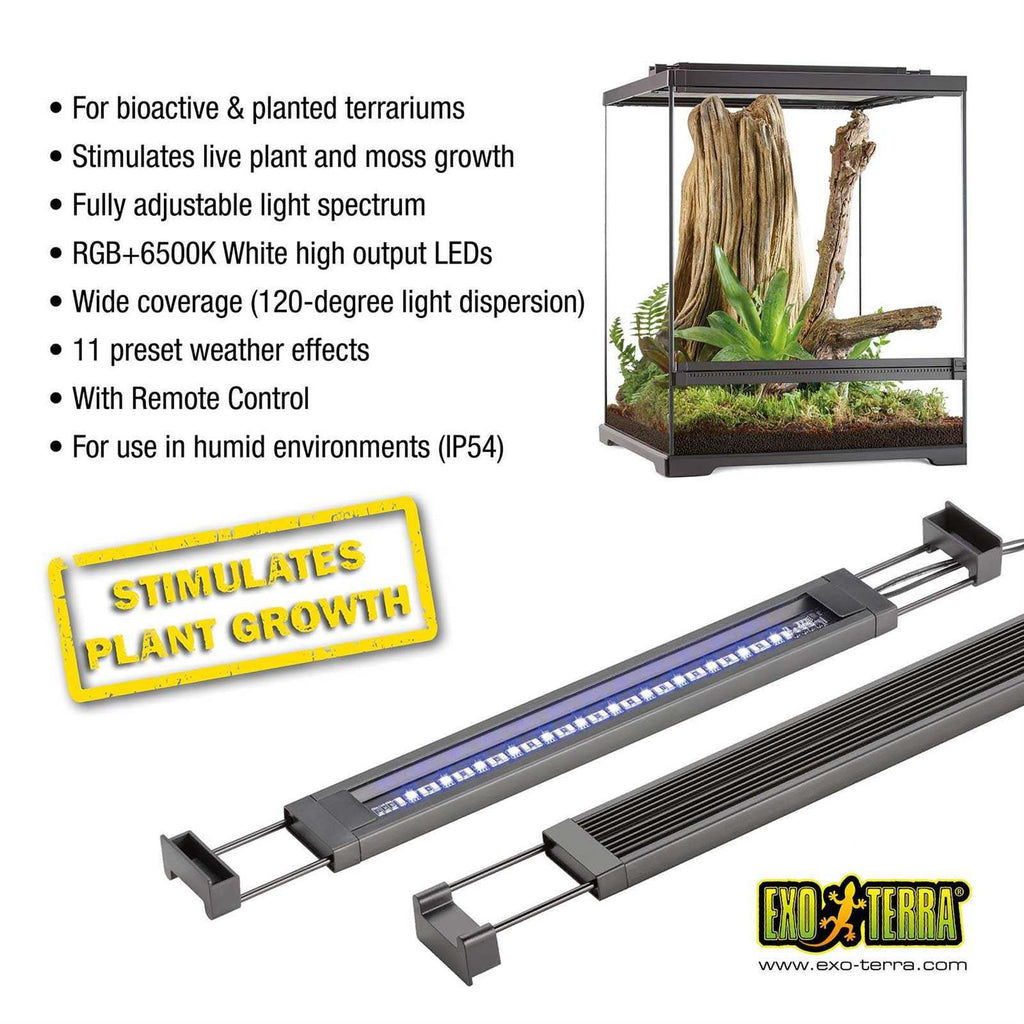 Planted Terrarium LED B2534