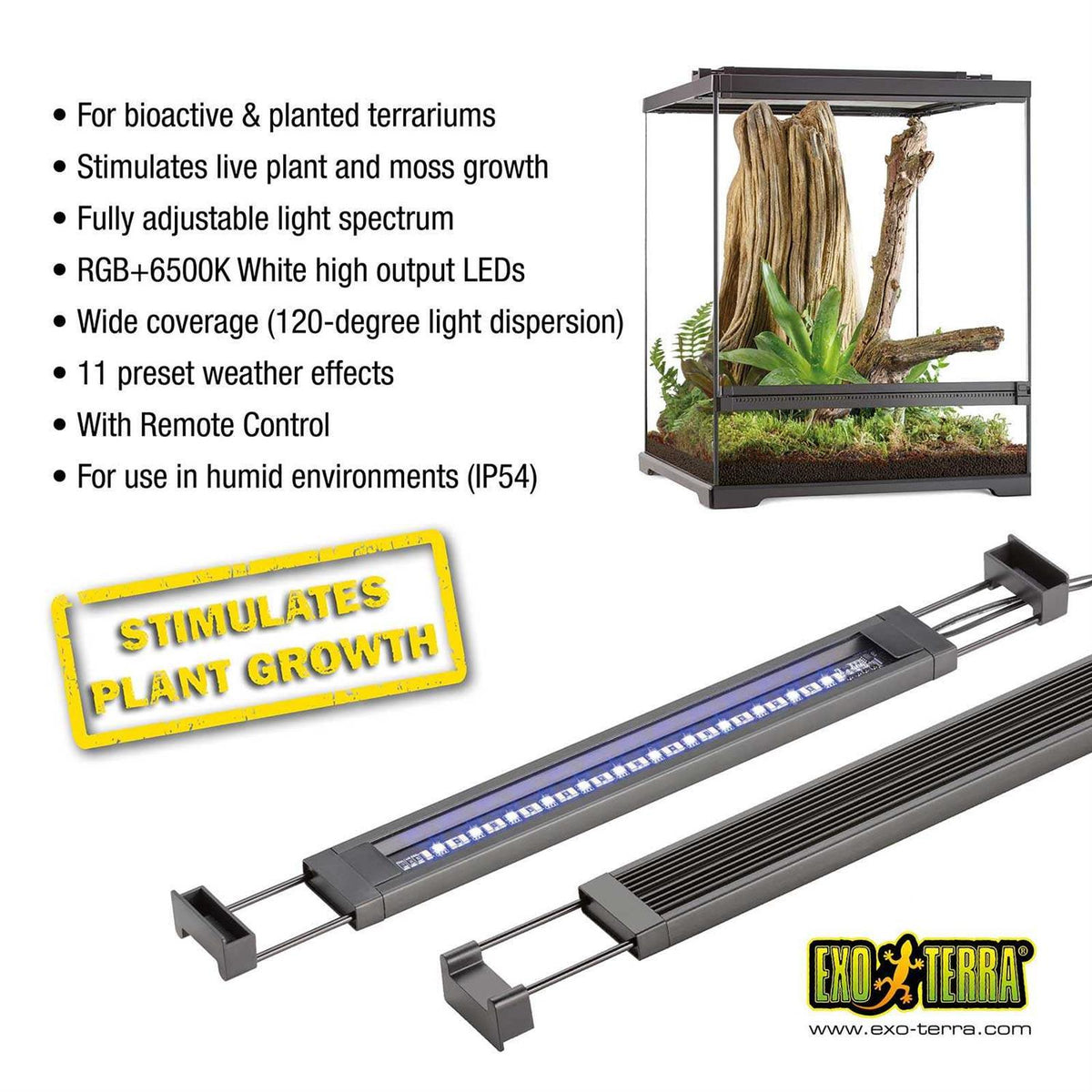 Planted Terrarium LED B2534