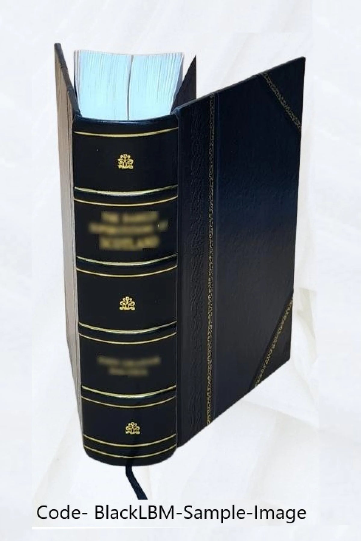 Cyclopædia of Poetry, First Series, Leather Bound J371503