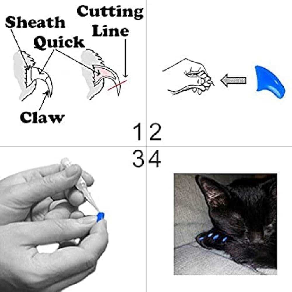 Soft Nail Caps for Cats J5858