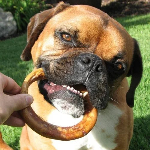 Natural 4" Bully Stick Rings for Dogs, 3 Count V425350