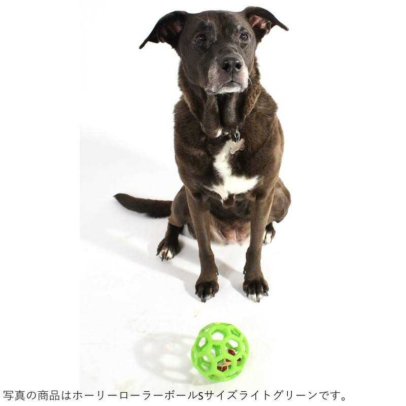 Dog Toy J5246