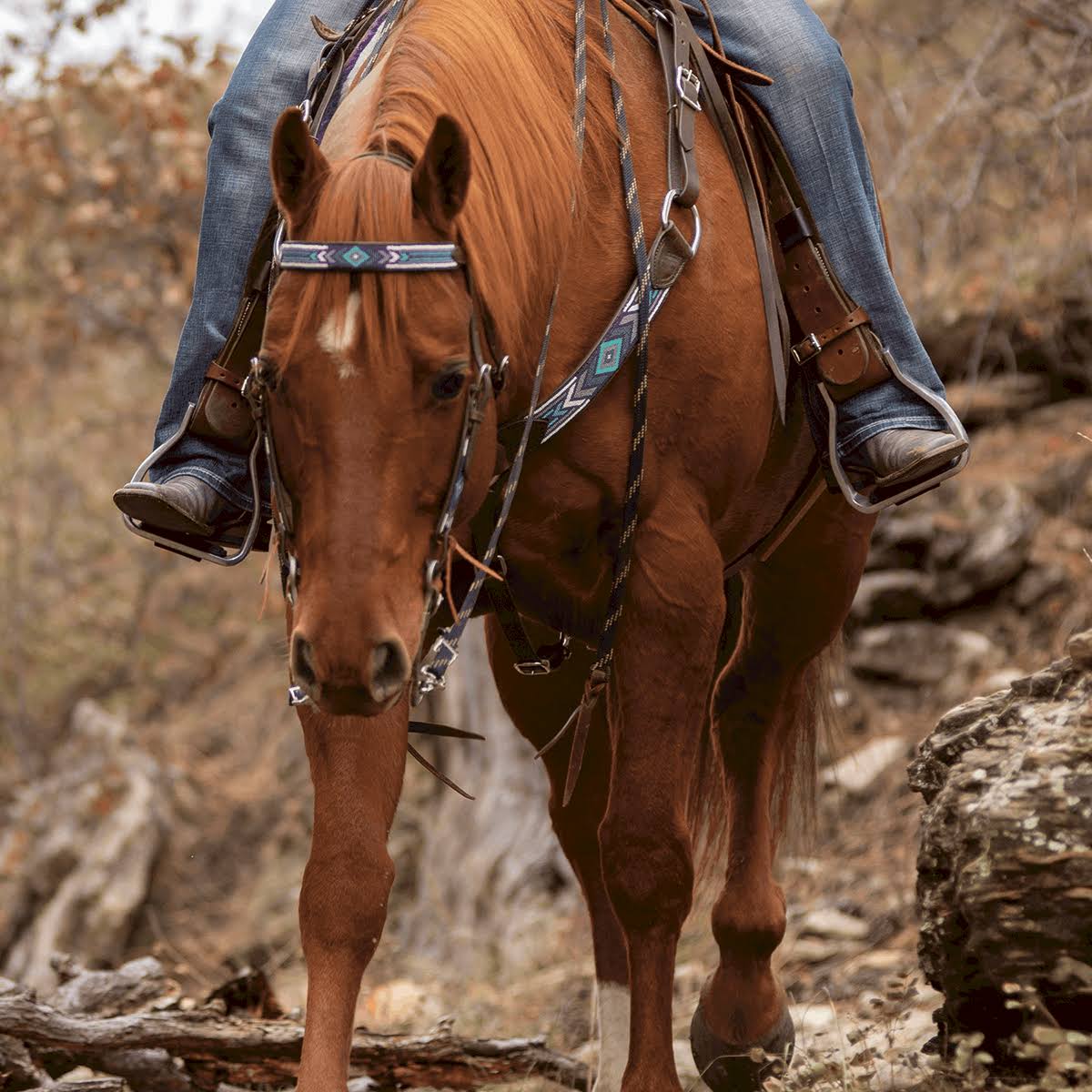 Beaded Browband Headstall I748