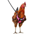 Chicken Harness with 6ft Leash U4358