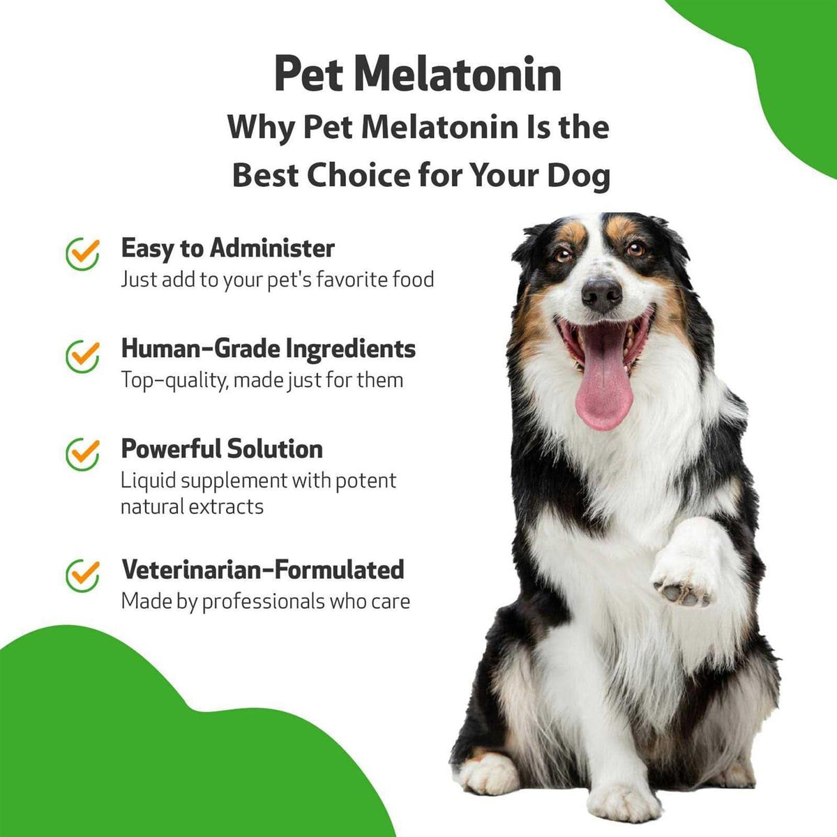 Melatonin for Dogs R4834