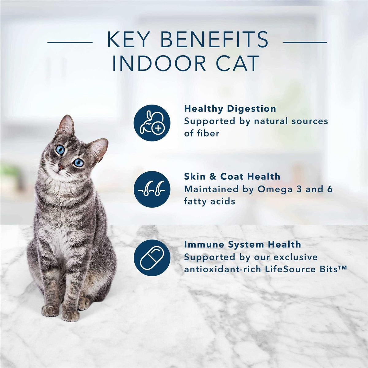Adult Cat Food Chicken & Brown Rice Recipe J18183