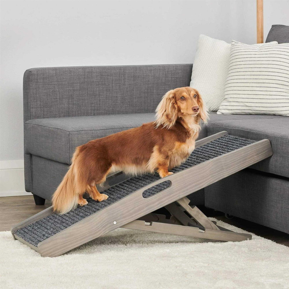 Indoor Pet Ramp F90998
