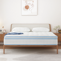 Queen 14 Inch Hybrid Gel Memory Foam Pocket Innerspring Mattress E999323