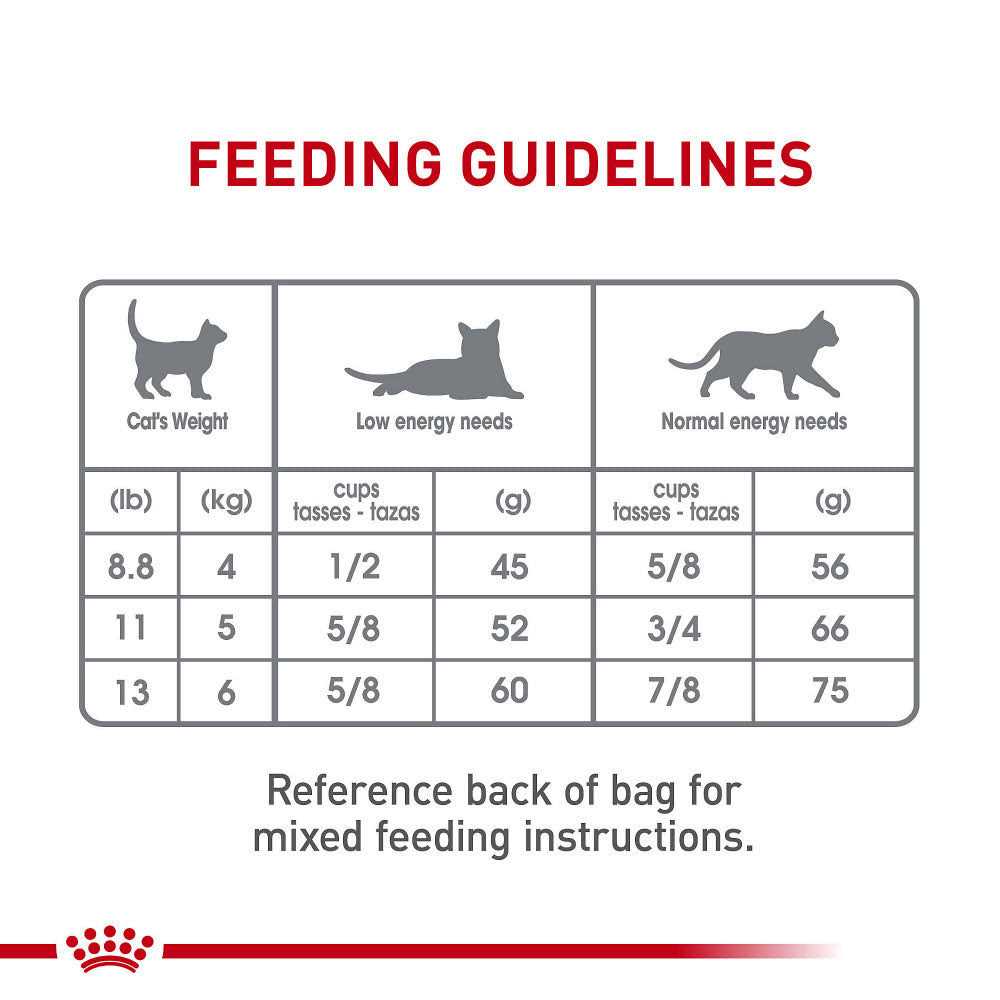 Dry Cat Food P13268