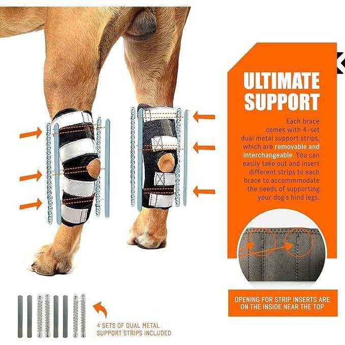 3-in-1 Dog Splint Braces V2552