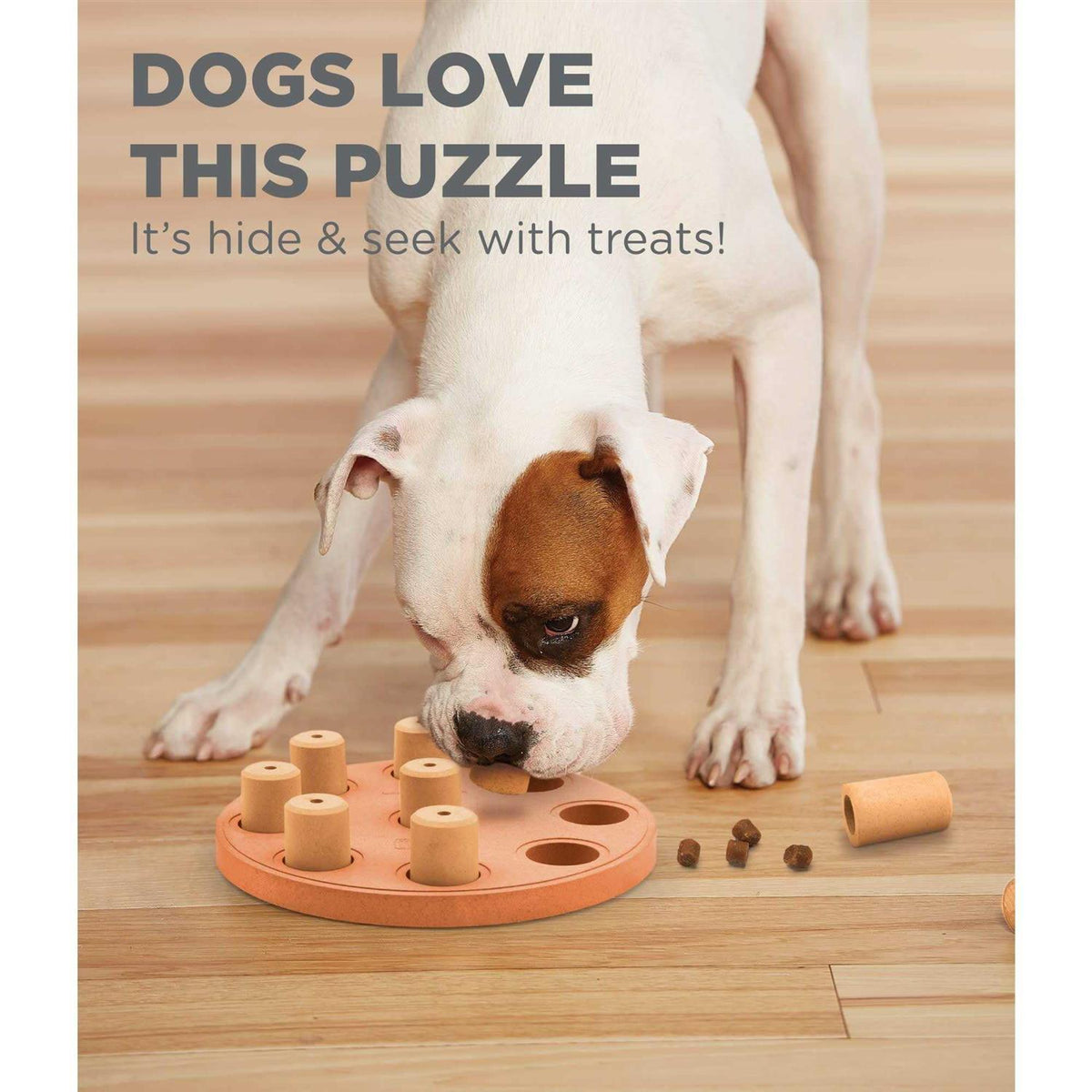 Dog Puzzle Q533